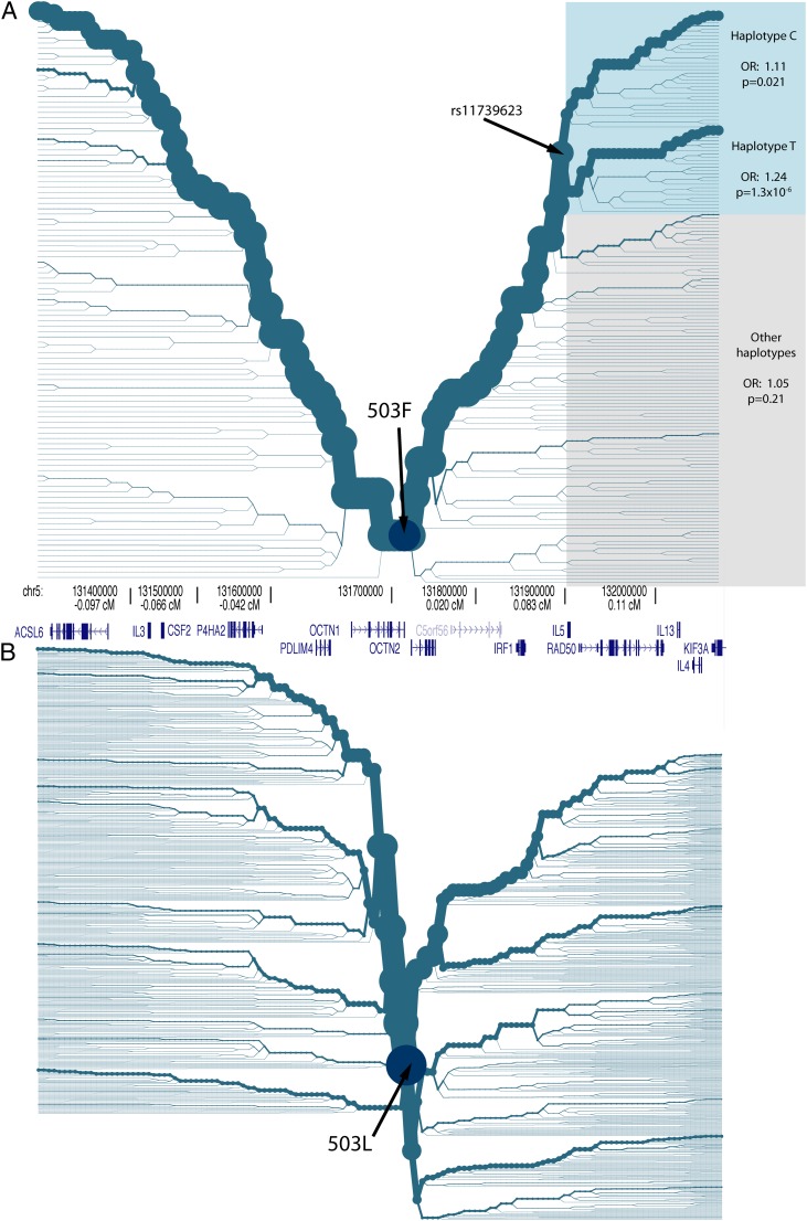 FIG. 4.