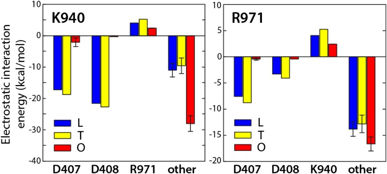 Figure 5—figure supplement 1.