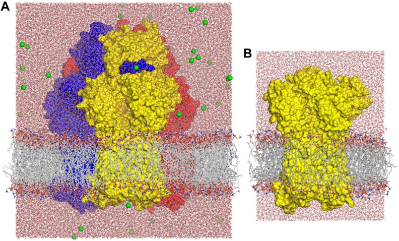 Figure 1—figure supplement 2.