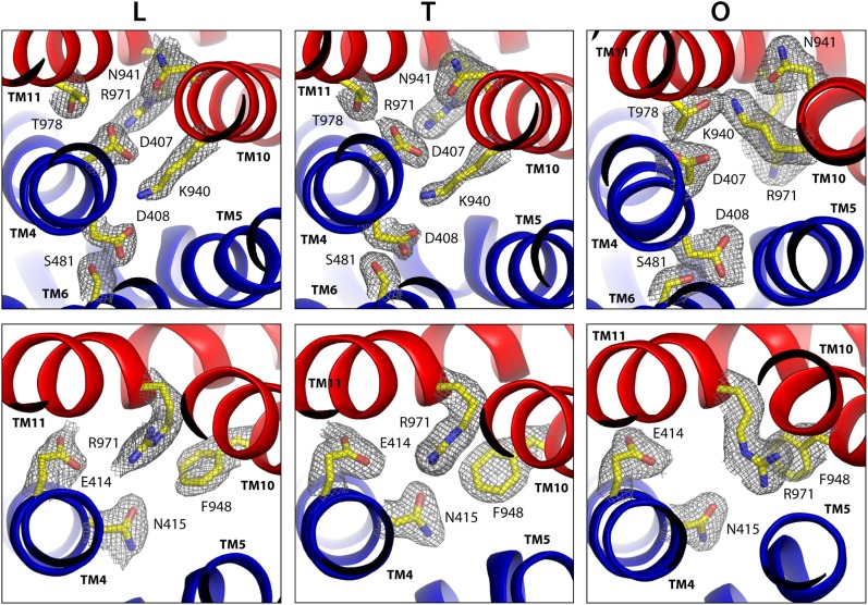 Figure 4.