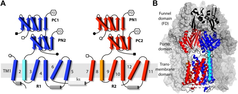 Figure 1.