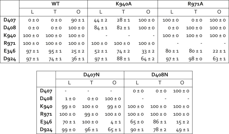 Figure 7—figure supplement 1.