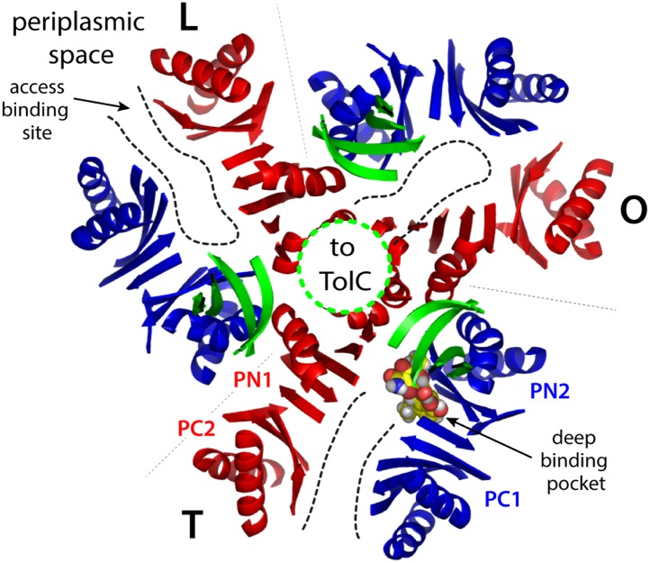 Figure 1—figure supplement 1.