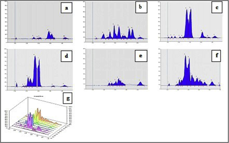 Fig. 3