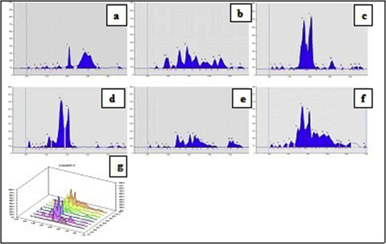 Fig. 4