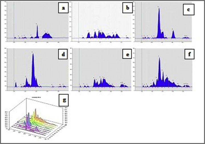 Fig. 6