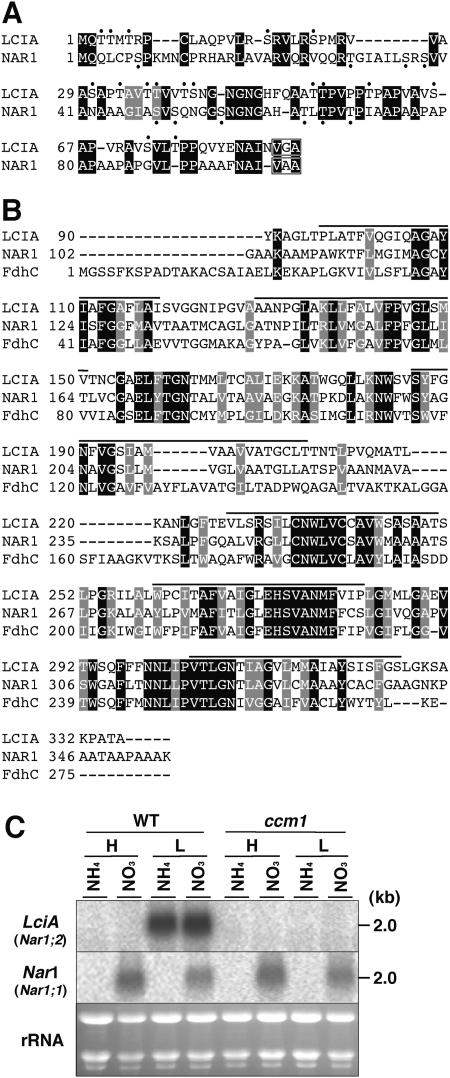 Figure 2.