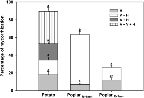 Figure 9.