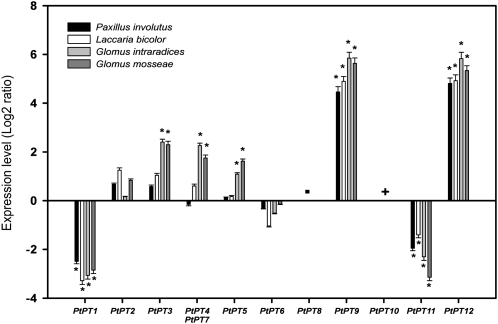 Figure 5.