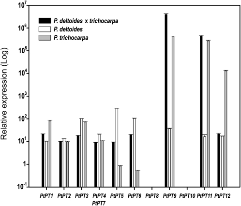 Figure 4.