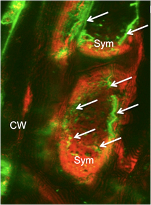 Figure 10.