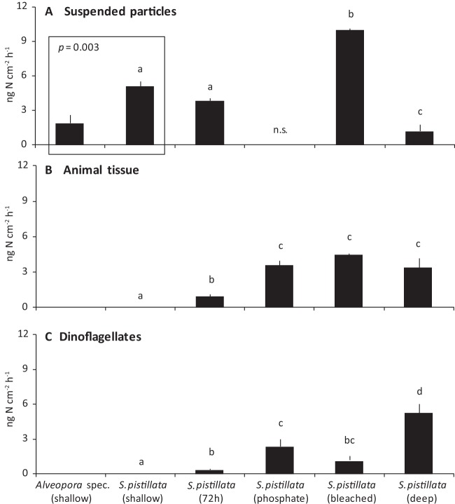 FIG 2 