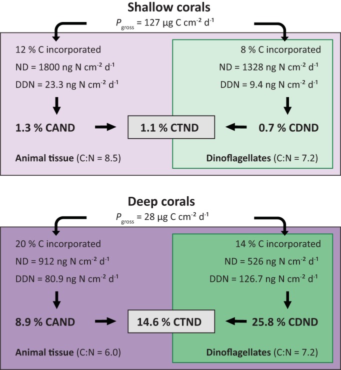 FIG 3 