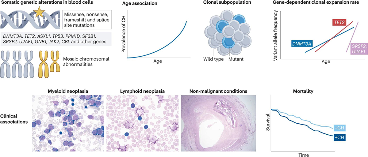 Figure 1 |