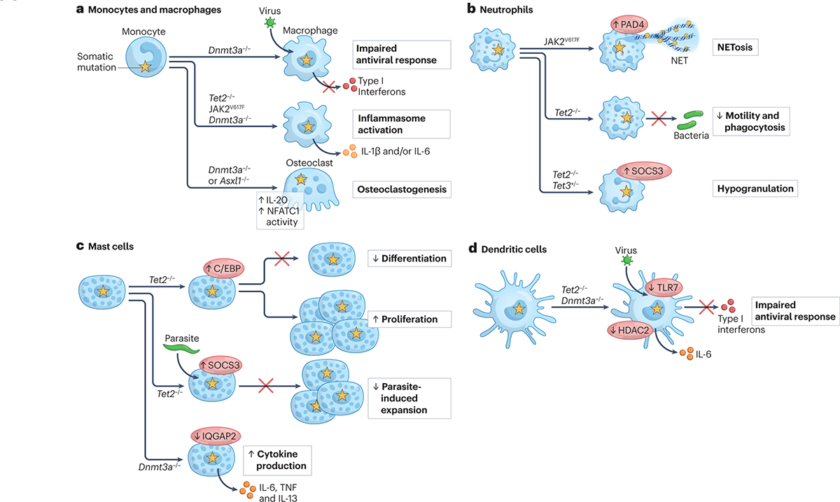 Figure 2 |