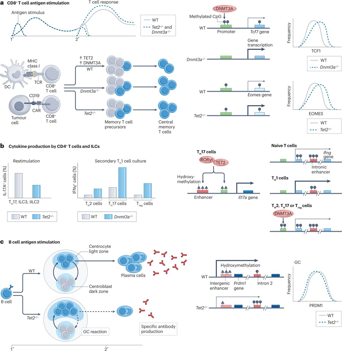 Figure 3 |