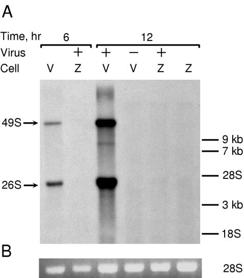 FIG. 7.