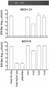 FIG. 2.