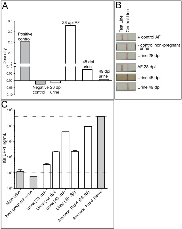 Fig 4