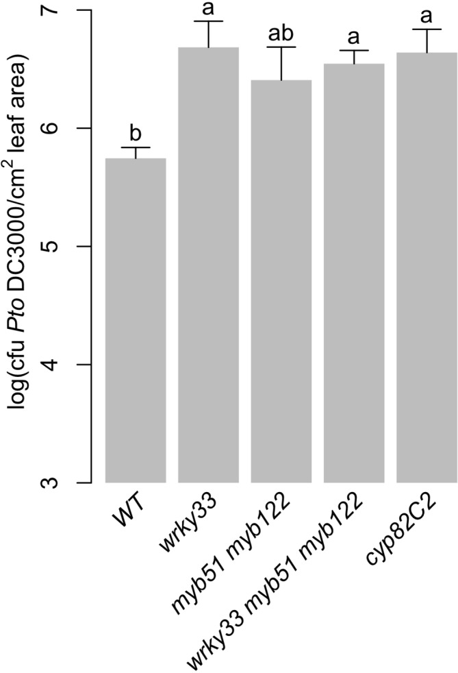 Figure 9