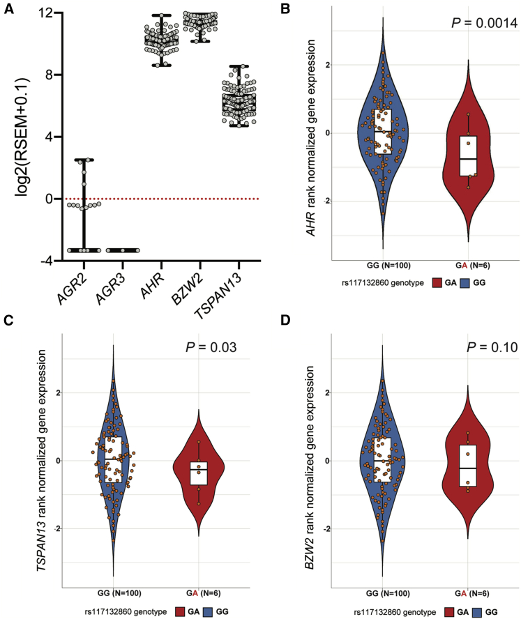 Figure 3