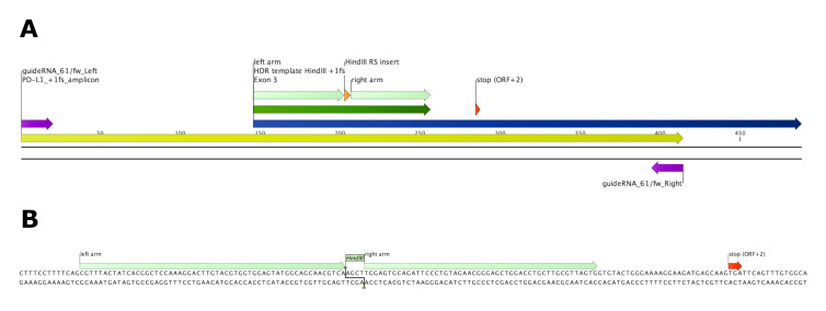 Figure 3.