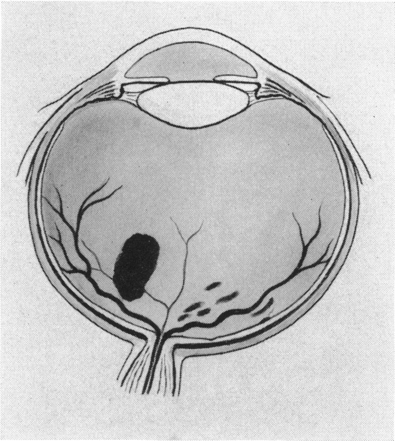 Fig. 1. A