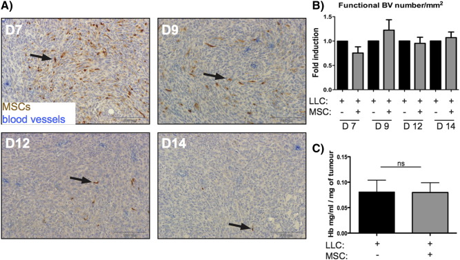 Figure 2