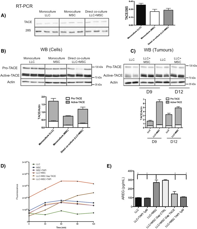 Figure 6