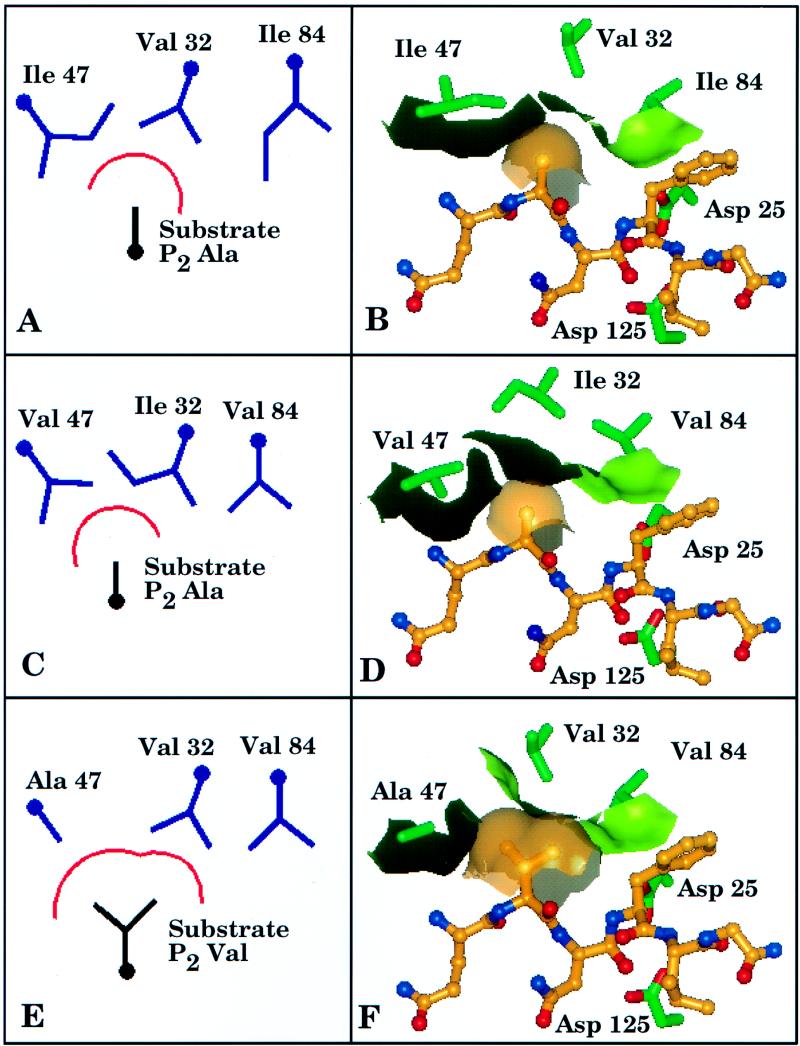 FIG. 6