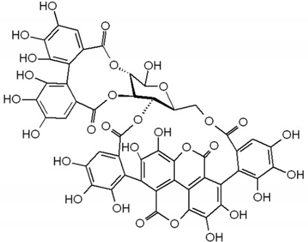 graphic file with name pharmaceuticals-17-01354-i013.jpg