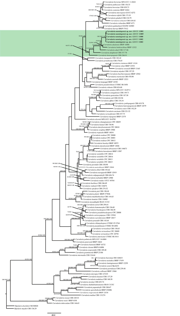 Figure 1.