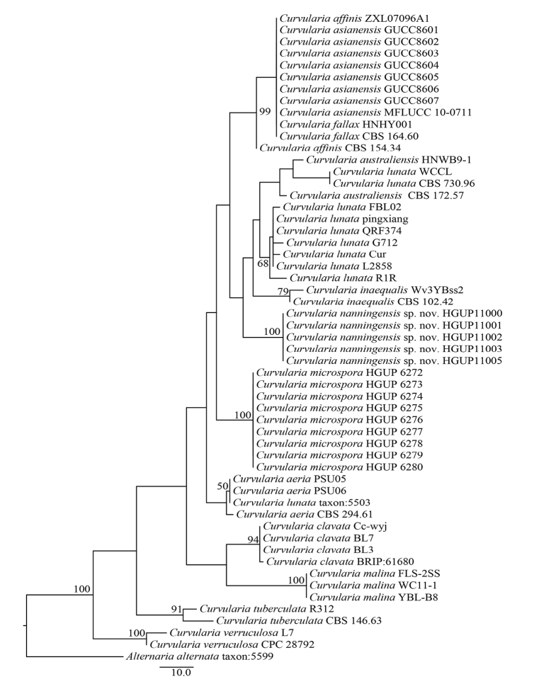 Figure 2.