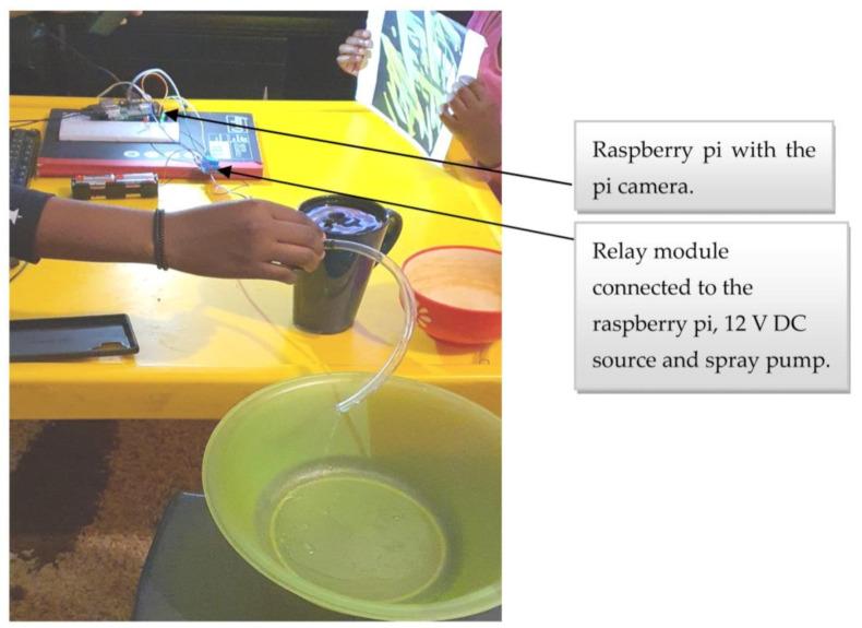 Figure 11