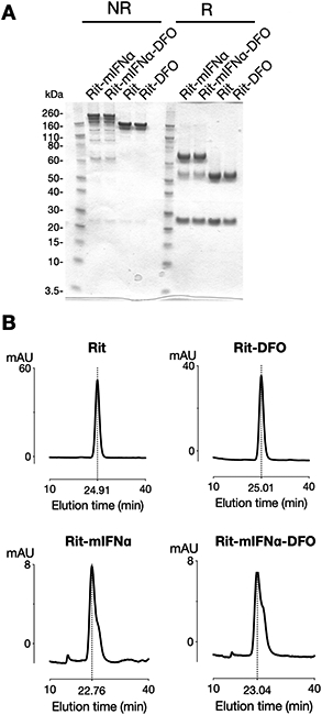 Figure1.