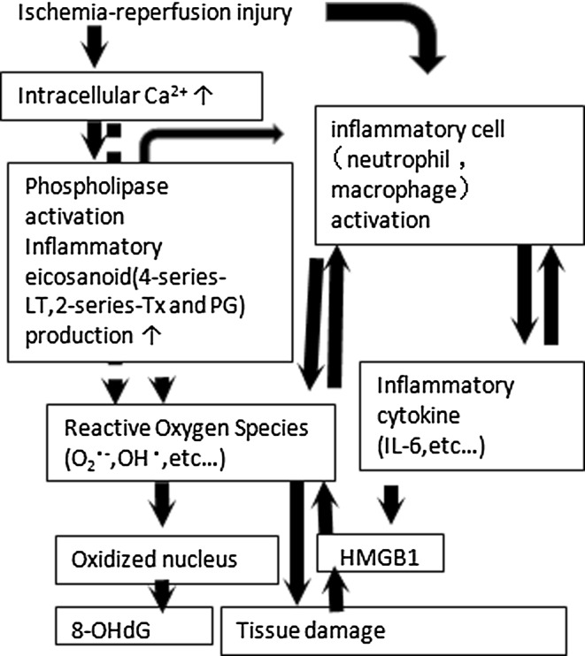 Fig. 6