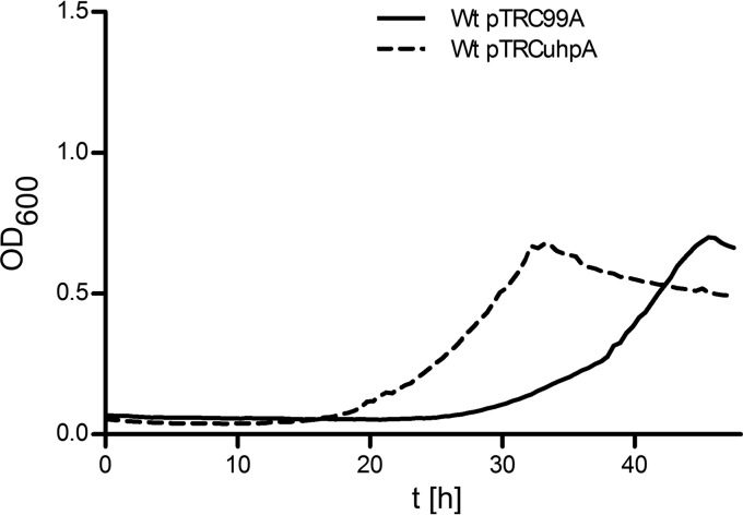 Fig 5