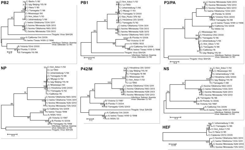 FIG 3 