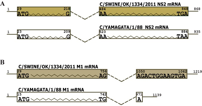 FIG 2 