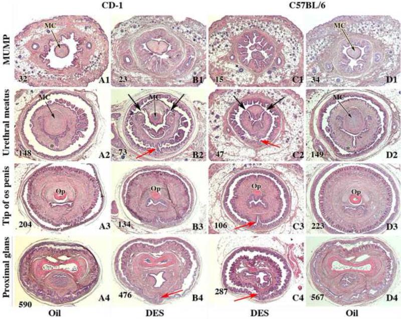 Figure 13