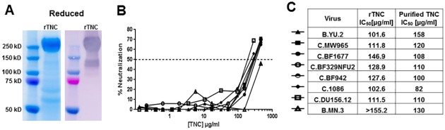 Fig 7