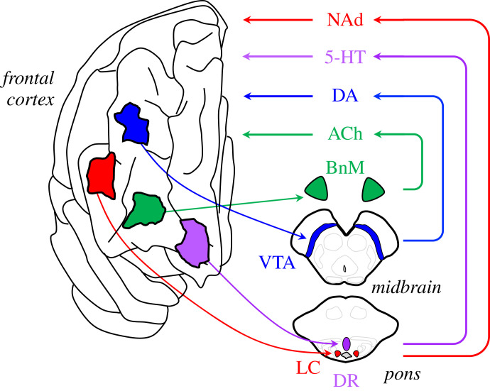 Figure 7. 