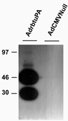 Fig 1.