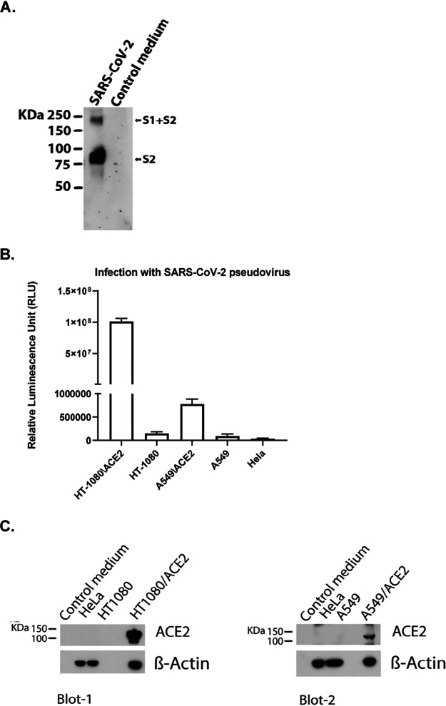 FIG 6