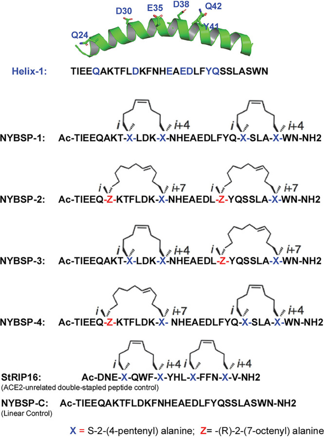 FIG 2