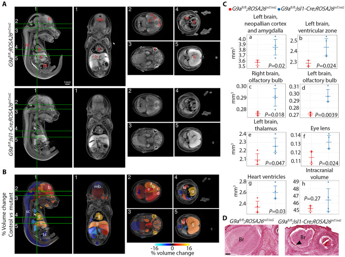 Fig. 4.