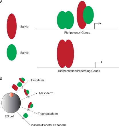 FIG. 13.