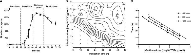 FIG 2