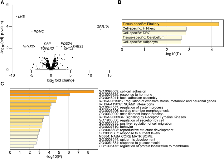 Figure 2