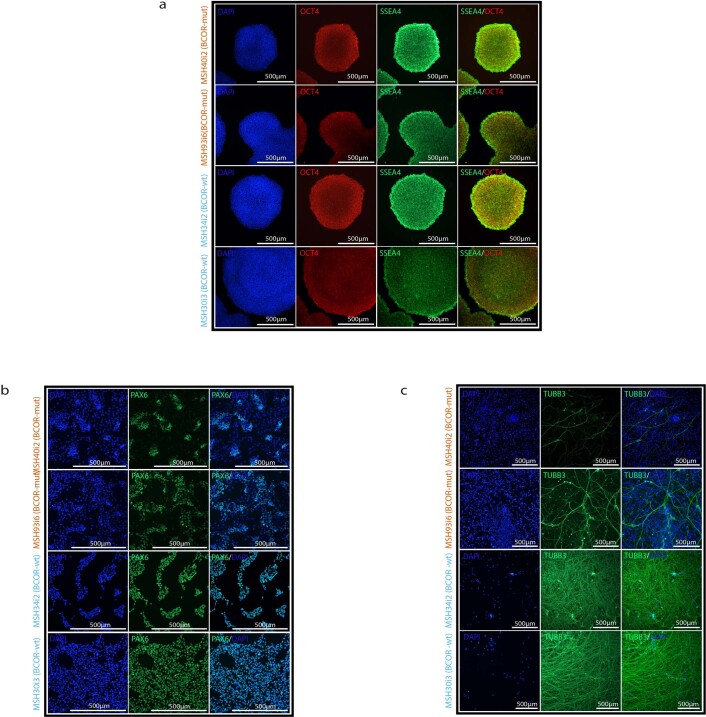 Extended Data Fig. 10